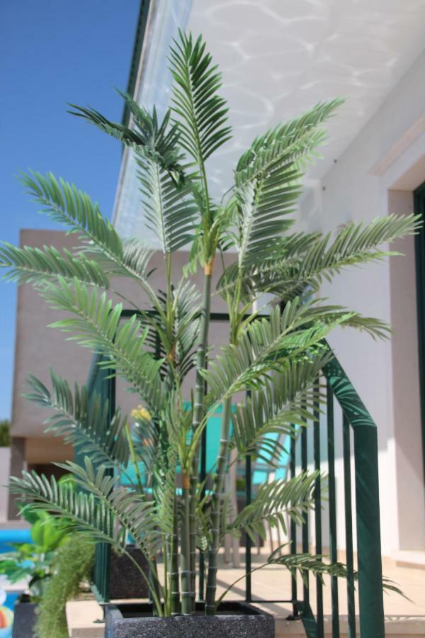 Villa Olive View Vila Nova da Barquinha Exterior foto
